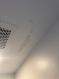 Ceiling stain bath