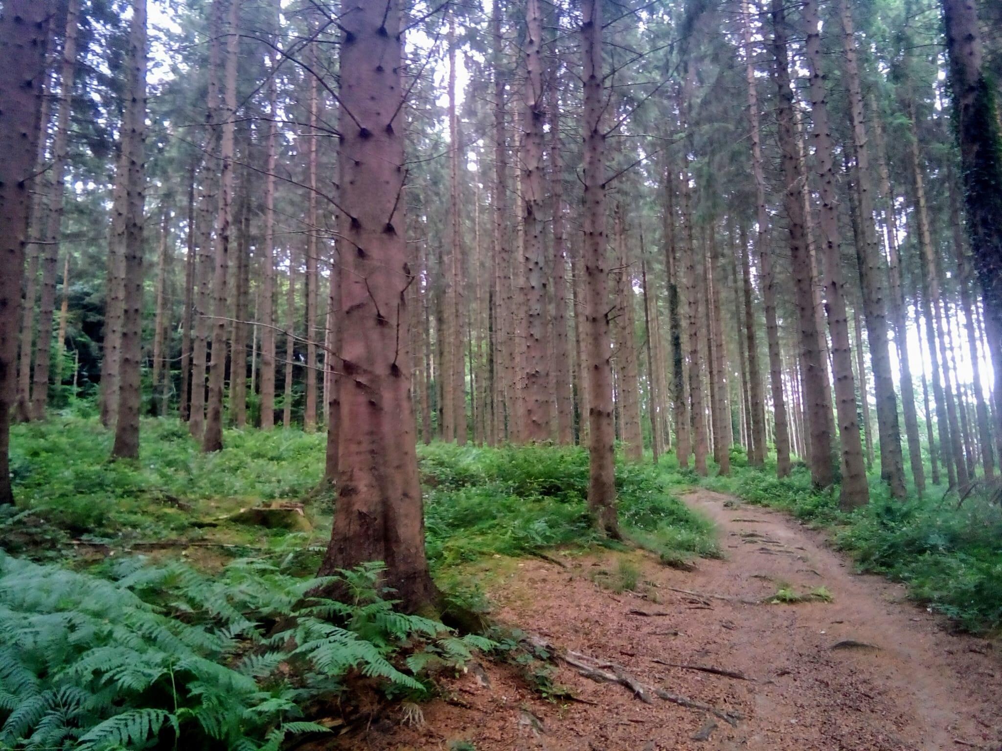 A few steps from the door