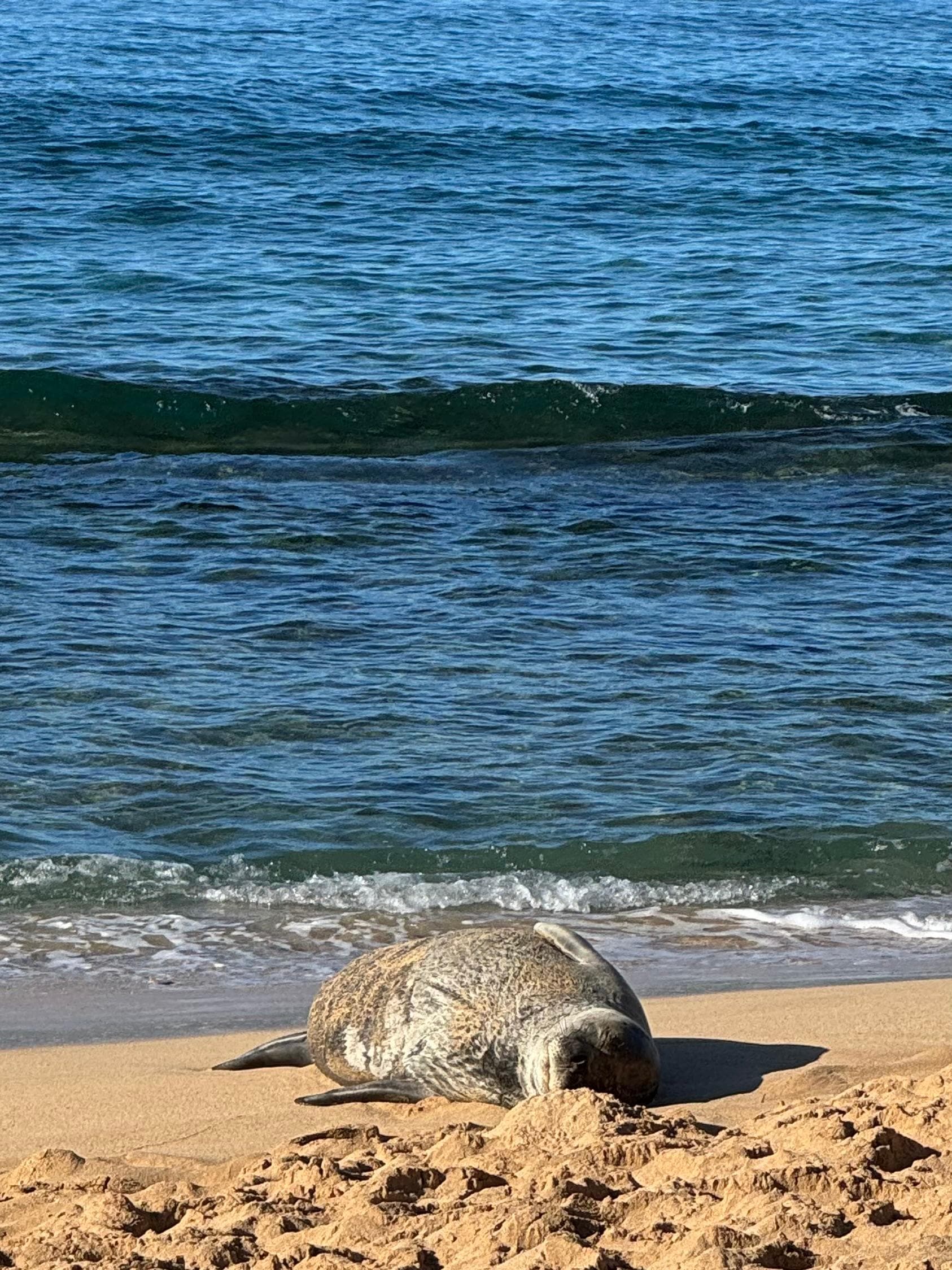 Locals kicking back !