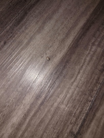 Dead roach on floor of bathroom