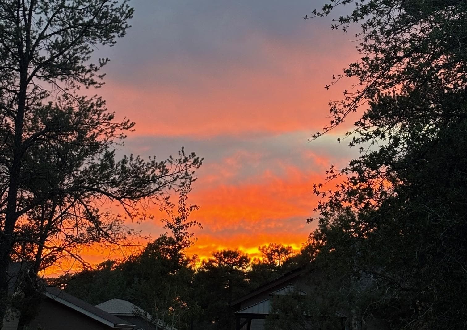 Love looking out the front door/kitchen window to see this view. 