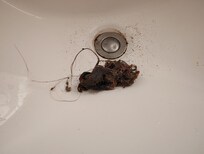 Clogged sink!