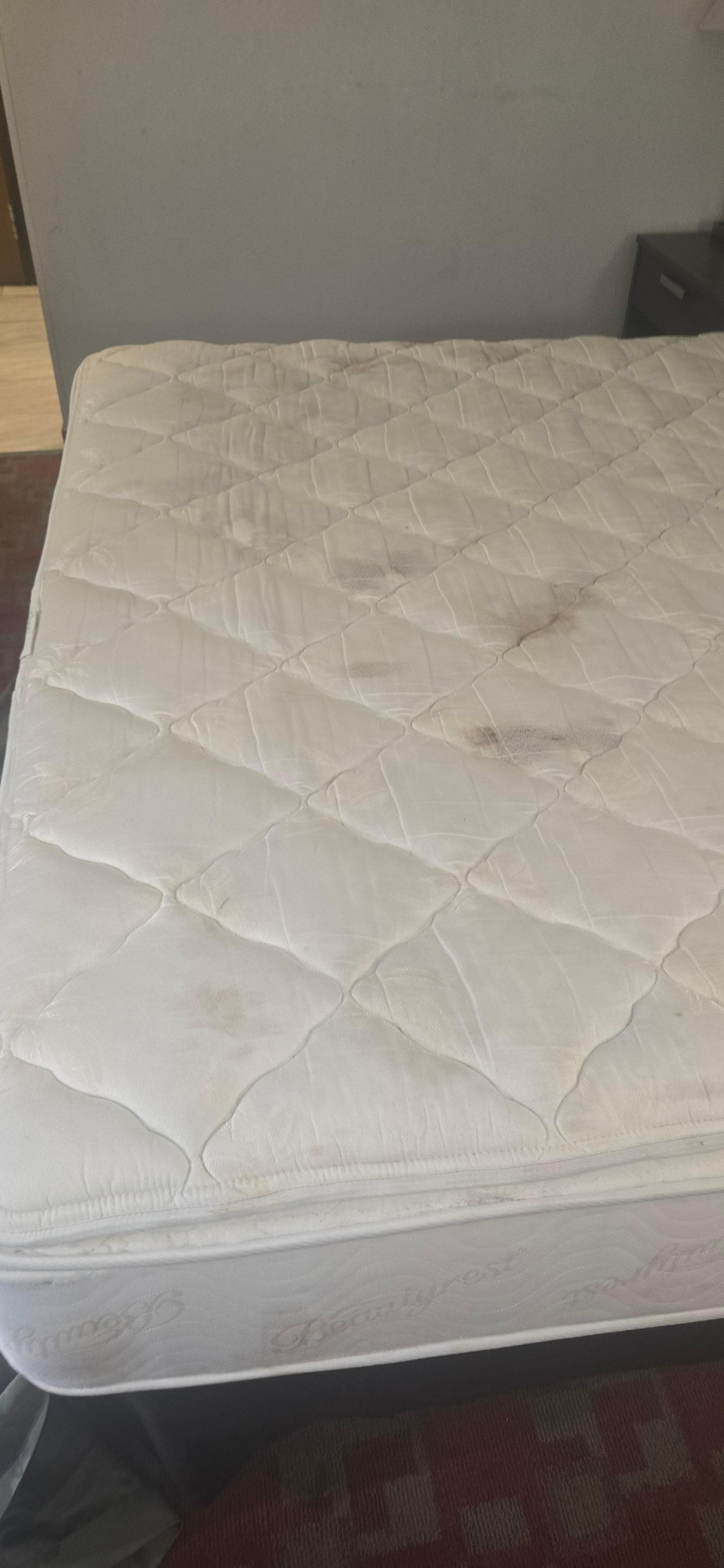 When I asked for clean sheets I was told there was no house keeping staff. So I had to change the sheets myself and this was the condition of the mattress 