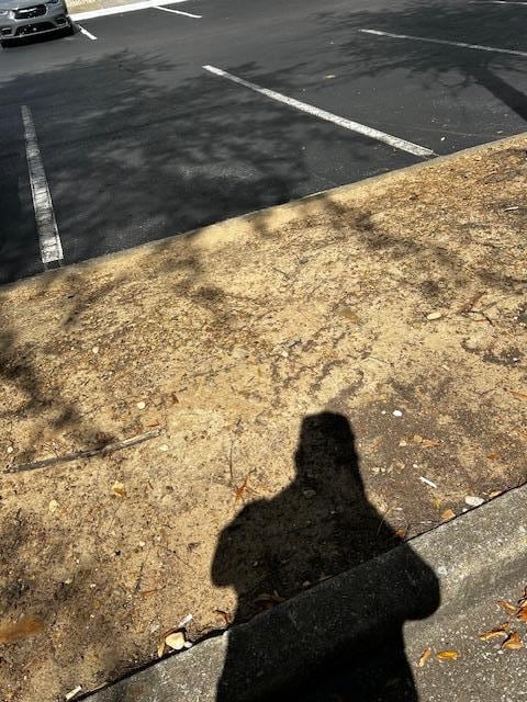 level of landscaping in back of property