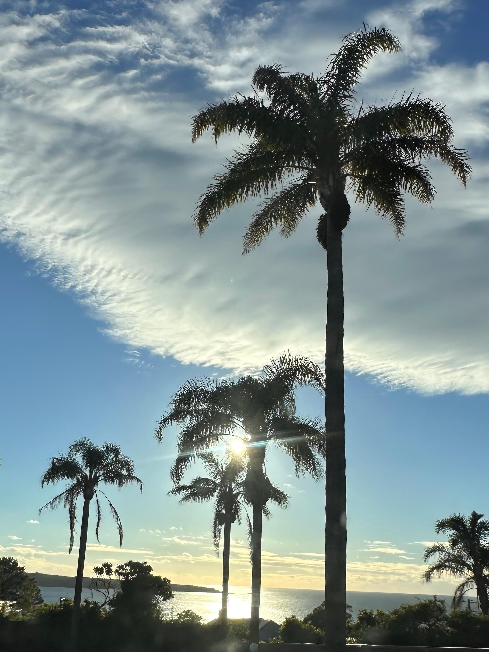 Sunrise from the Two Fold Motor Inn