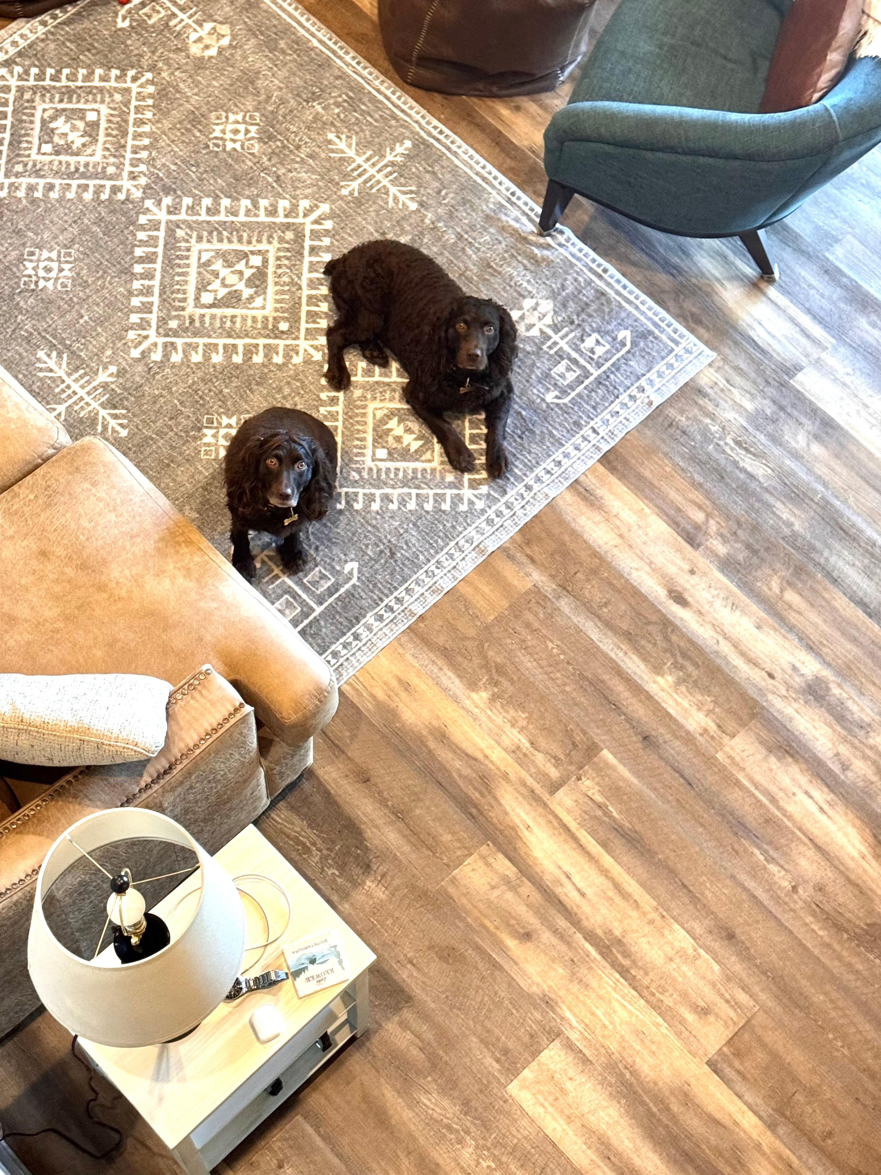 My boys are watching me 