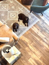 My boys are watching me