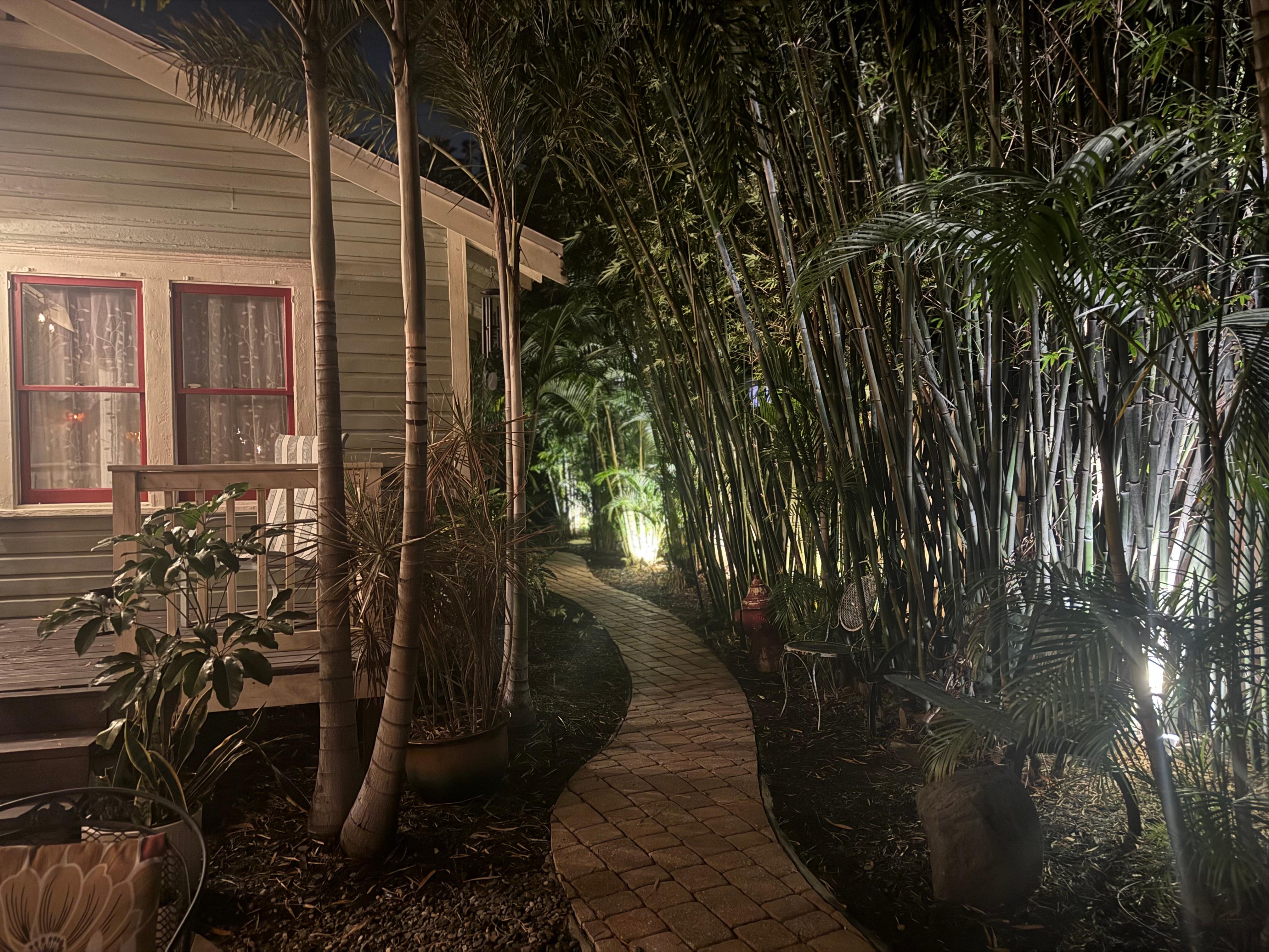 Even better garden and yard 