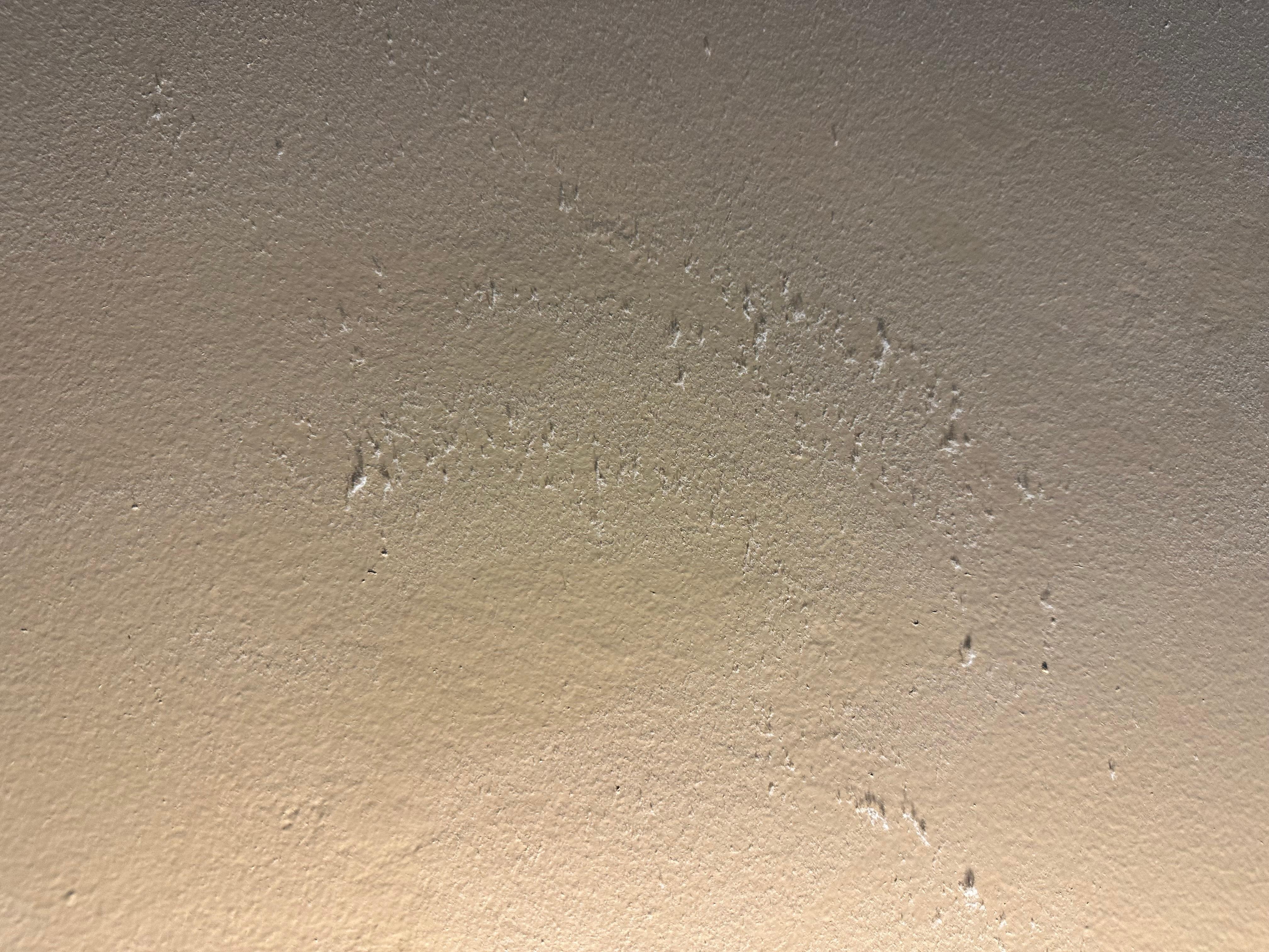 When we touched the wall, it was caked with accumulated dust