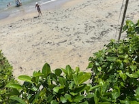Beaches dirty everyday