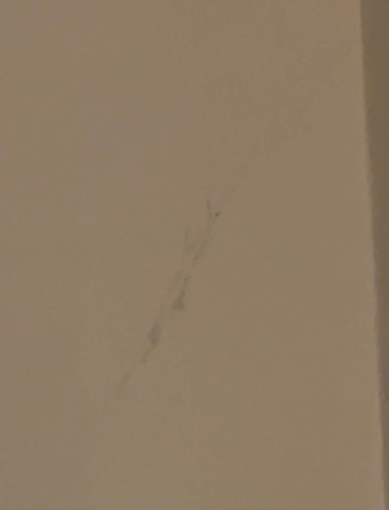 Cobwebs and spiderwebs over the bed and all over the walls in there and they have the nerve to leave an envelope for a tip for cleaning. Why don’t you try cleaning it first.