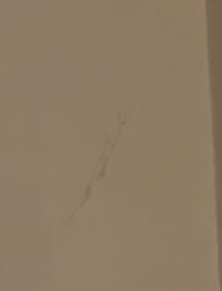 Cobwebs and spiderwebs over the bed and all over the walls in there and they have the nerve to leave an envelope for a tip for cleaning. Why don’t you try cleaning it first.