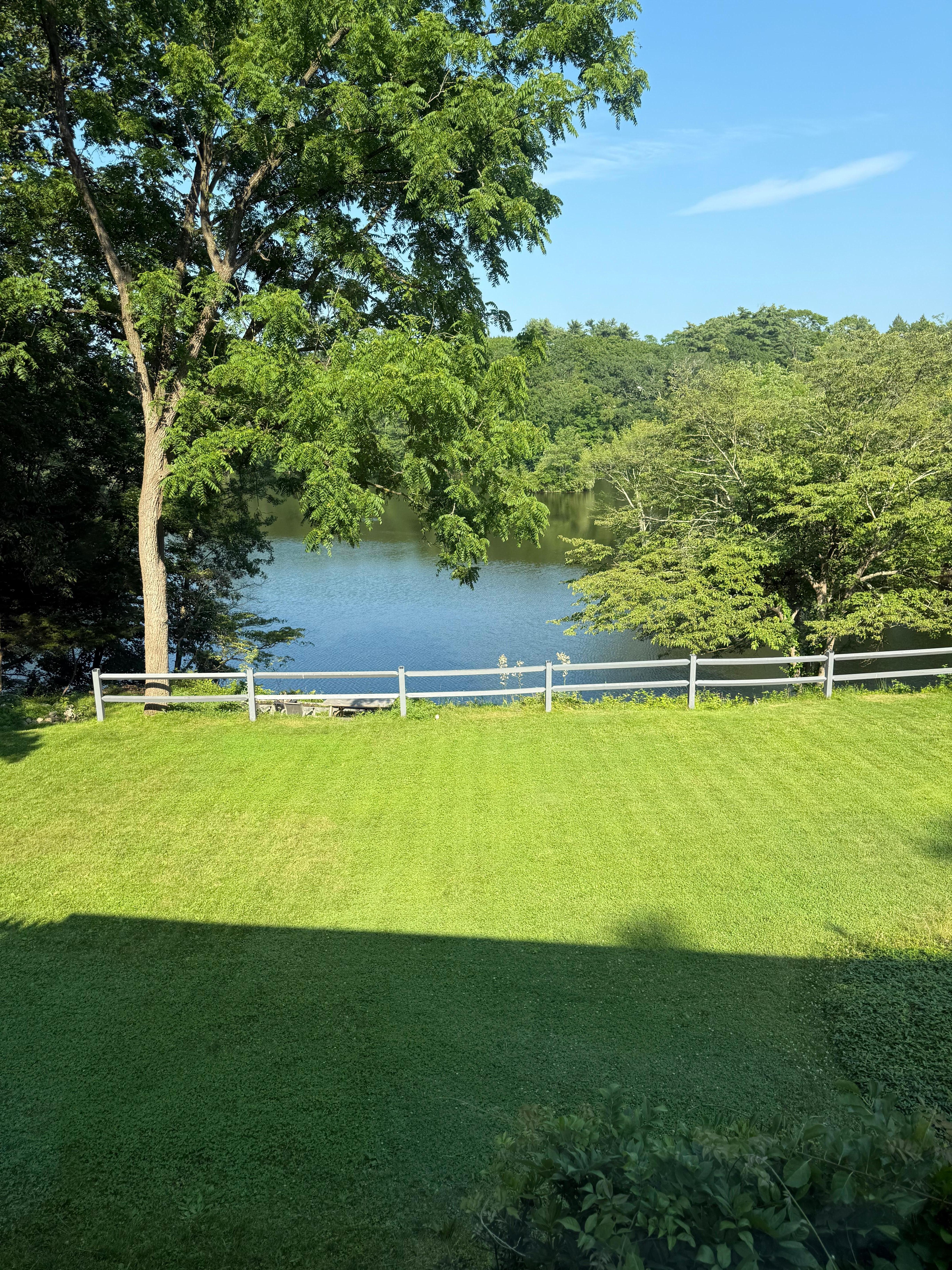 The huge lawn and view of the lake