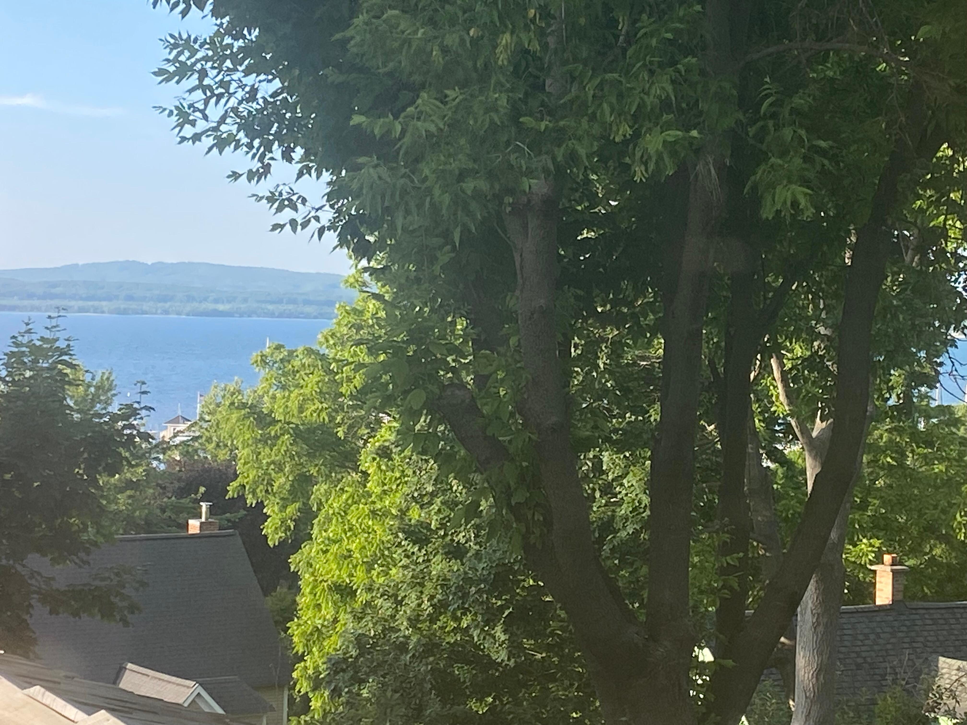 View from the bedroom window