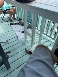 Lazy day on the deck.