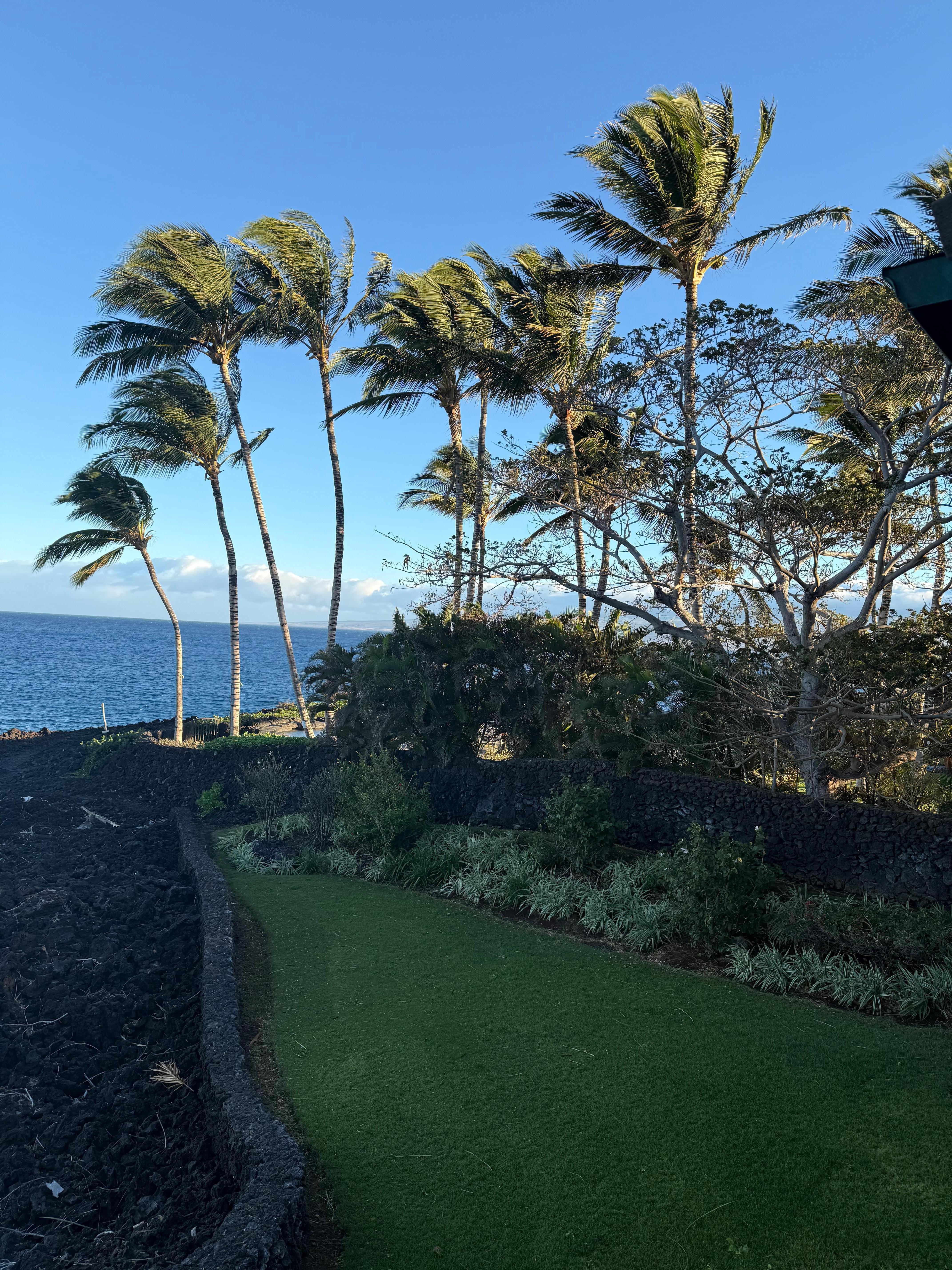 Morning view from the deck. 
