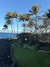 Morning view from the deck.