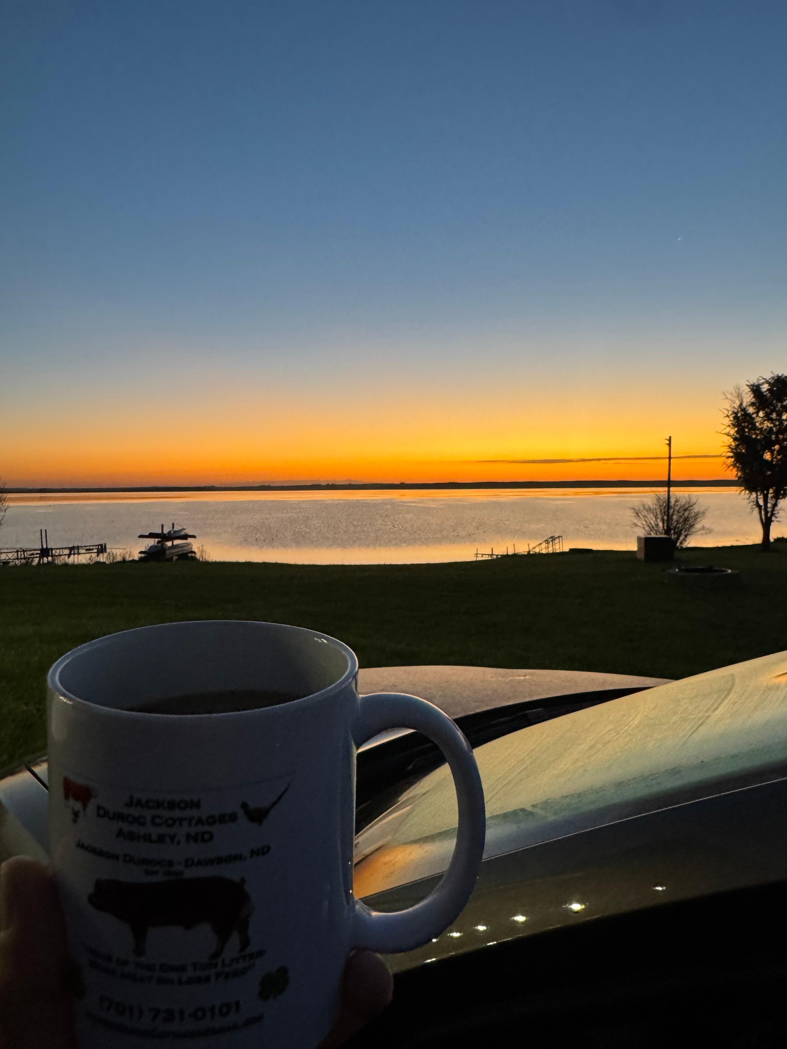 Every. Single. Morning. 