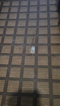 Hole in the carpet