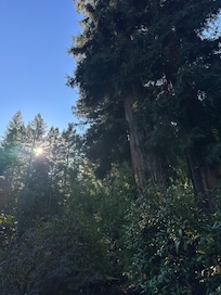 Sunrise from the driveway