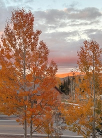 View Out the window