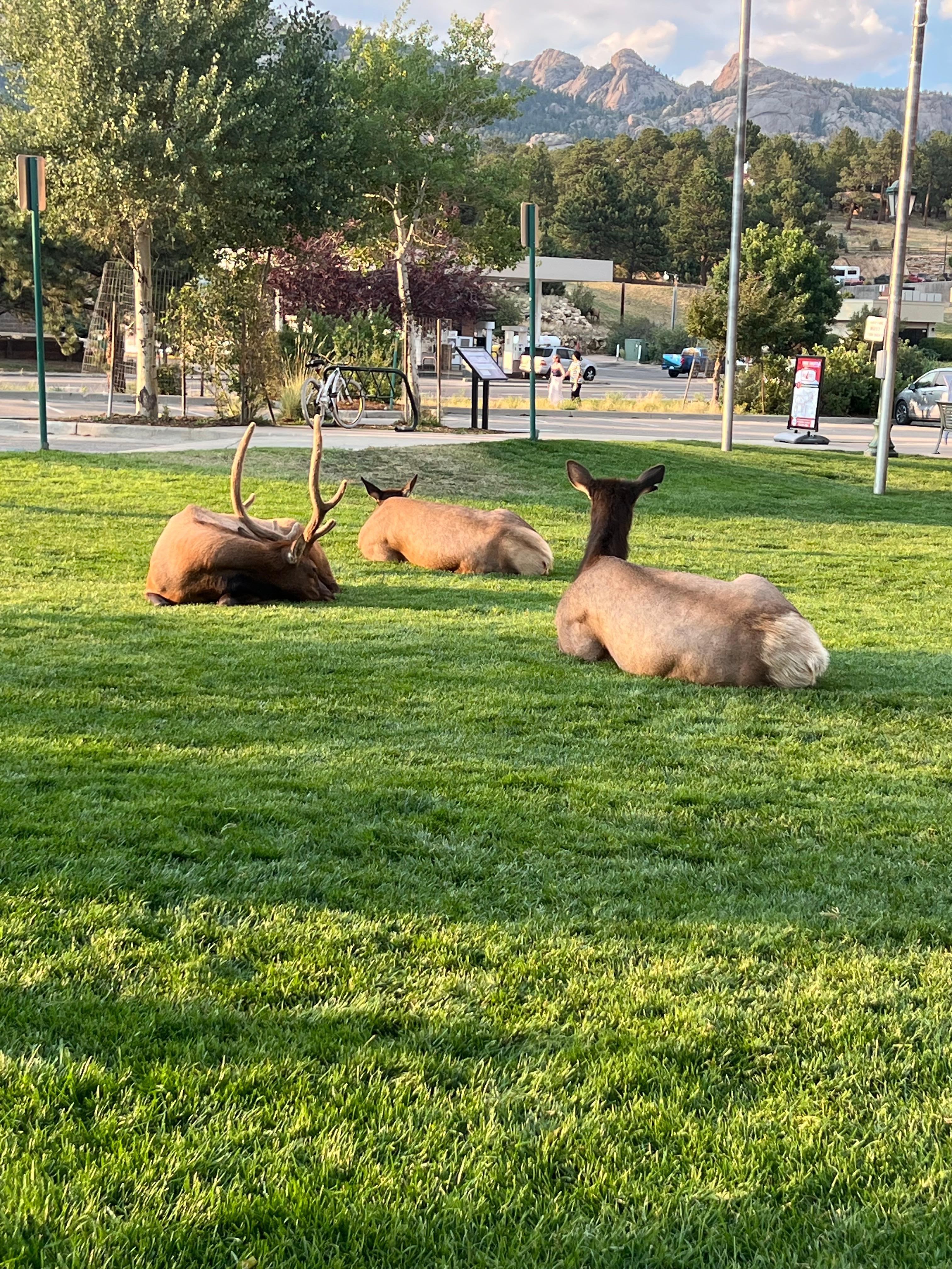 Resting by the visitor center