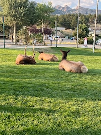Resting by the visitor center