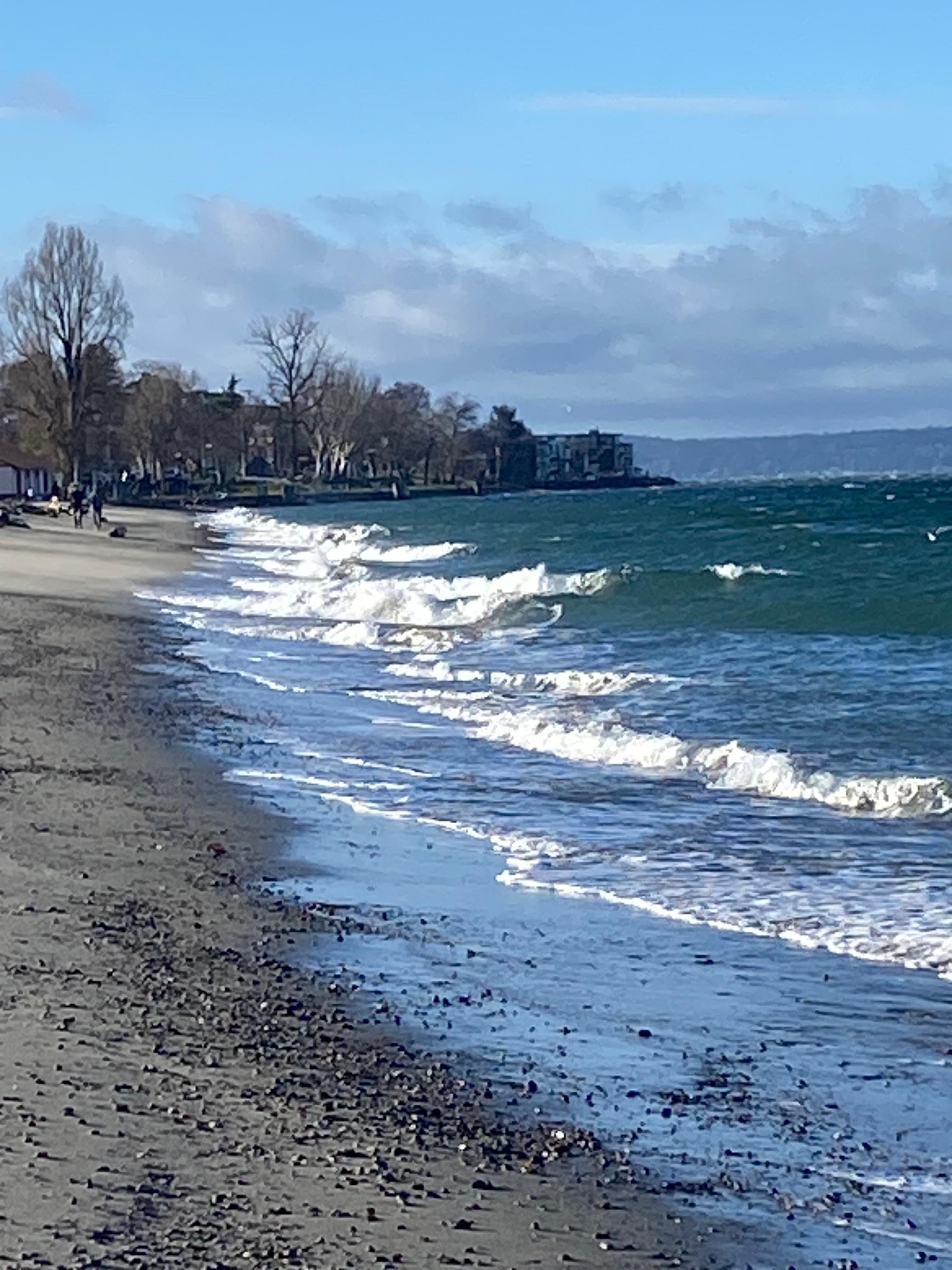 Lovely beachside walk on a blustery day!