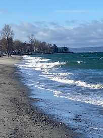 Lovely beachside walk on a blustery day!