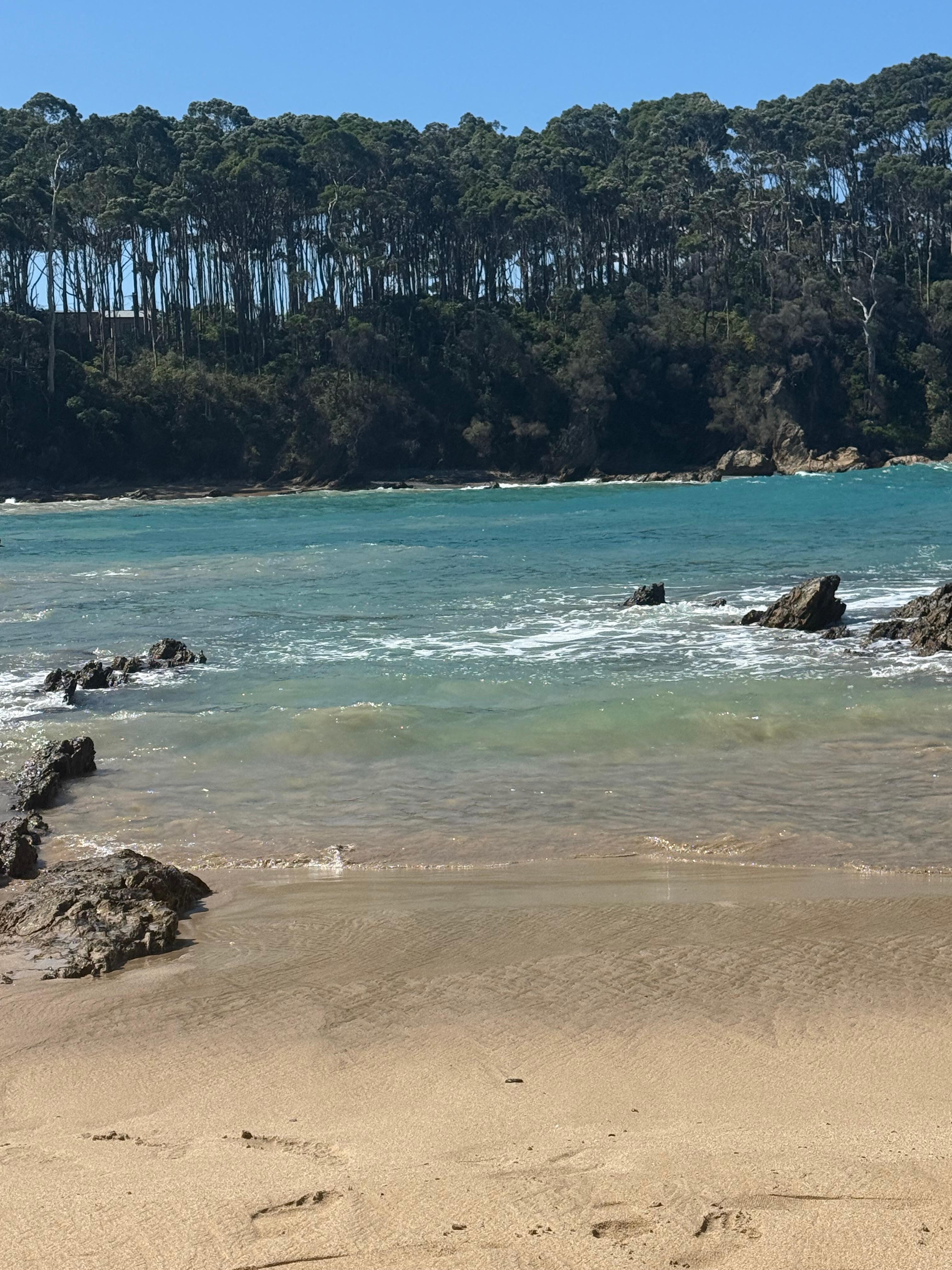 The beach at Lilli Pilli 