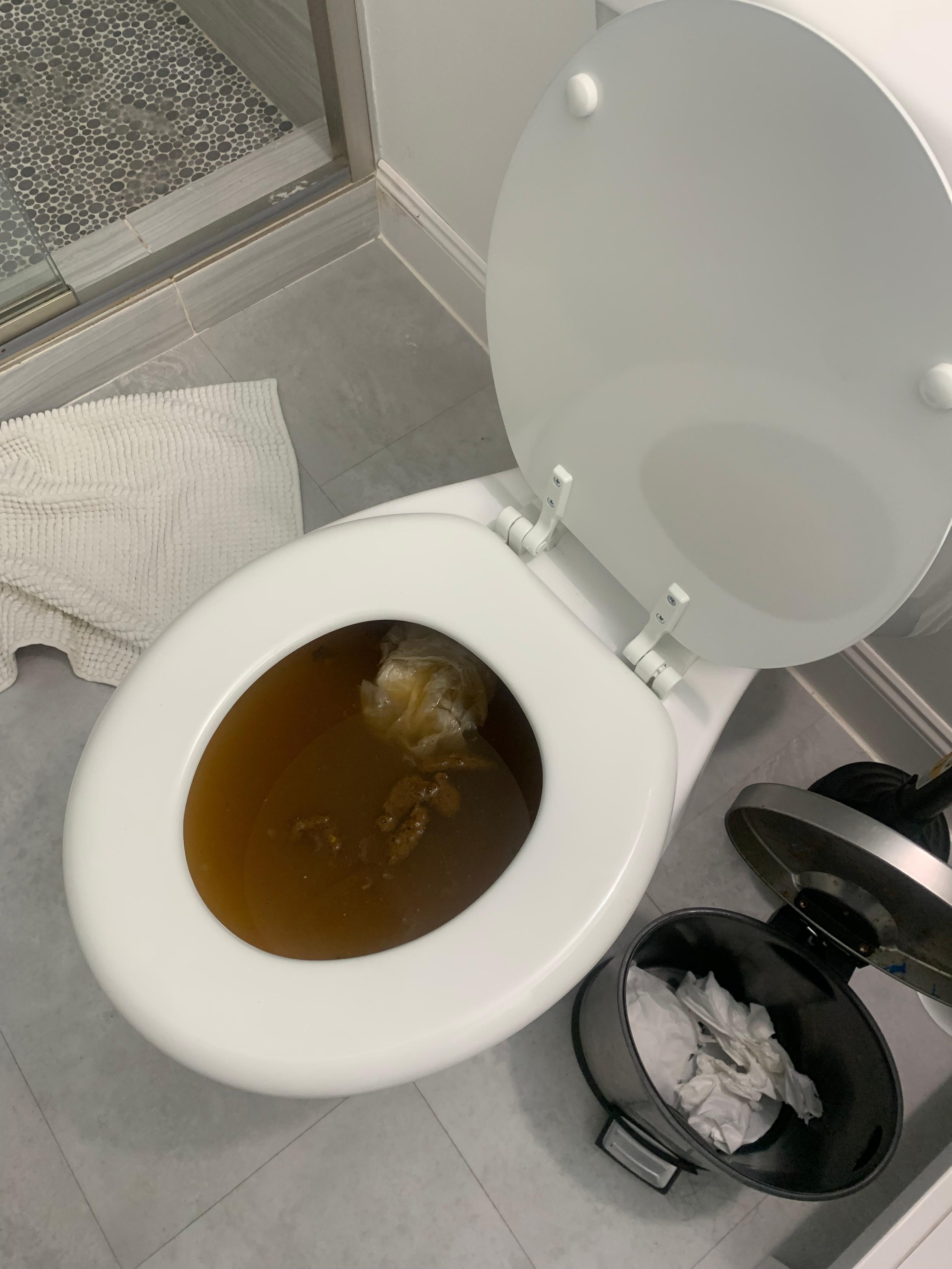 Tolit not flushing properly 