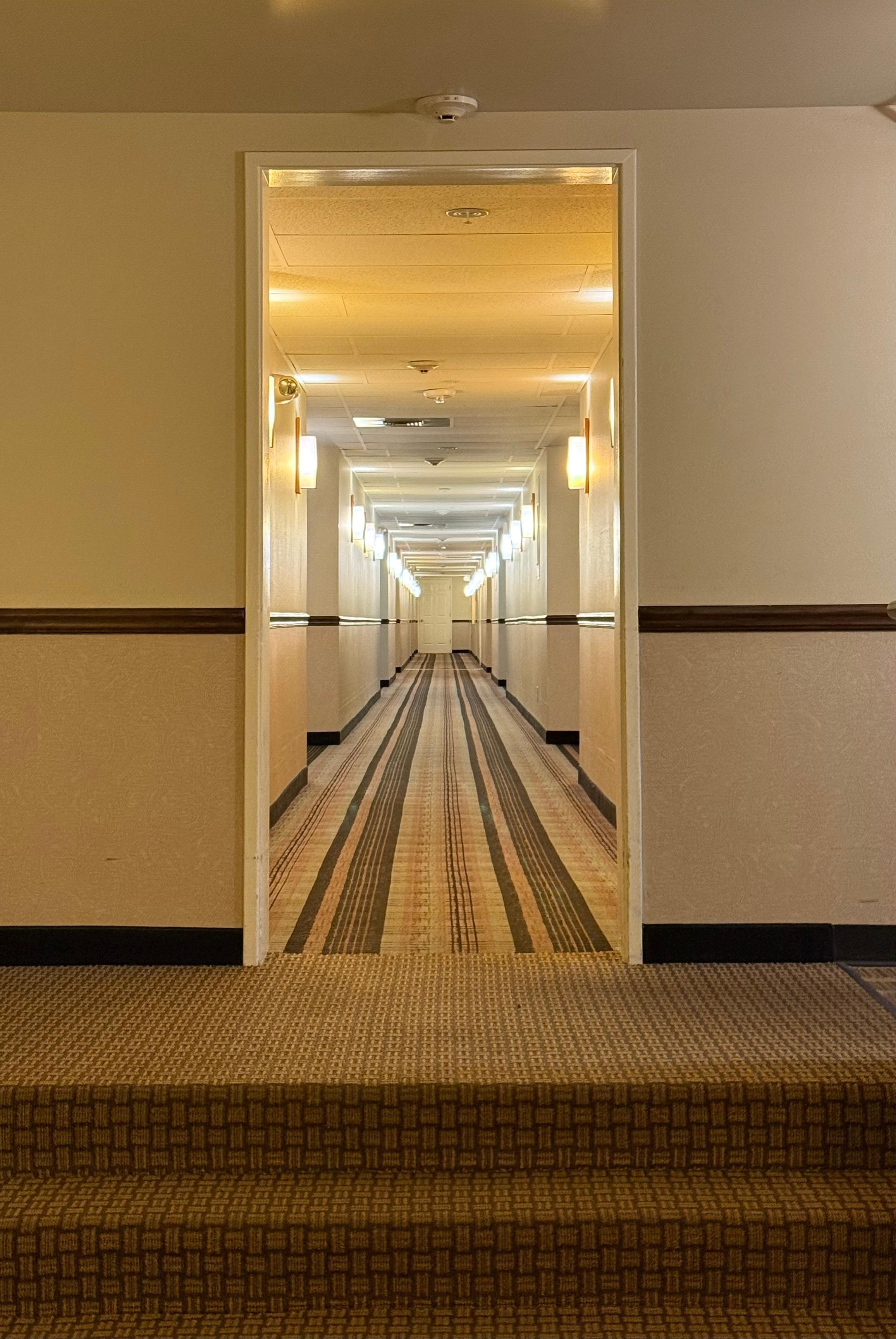Hallway with alternating warm white and daylight bulbs. Please make a decision. 