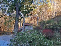 View from deck