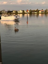 View from benches on the dock near the bay and swimming pool.