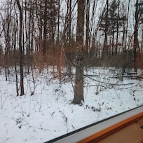 From the bed window.