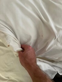 Stains on pillows and comforters. Highly recommended staying some place else.
