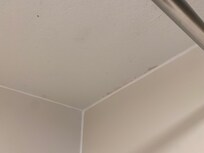 Bathroom ceiling #1