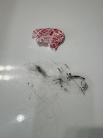 This was after just one swipe of my hand to remove hair and trash from the couch cushions