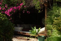 The den, gets the first of the morning sun