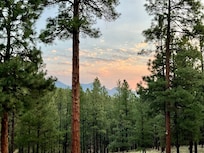 Morning view from back patio.