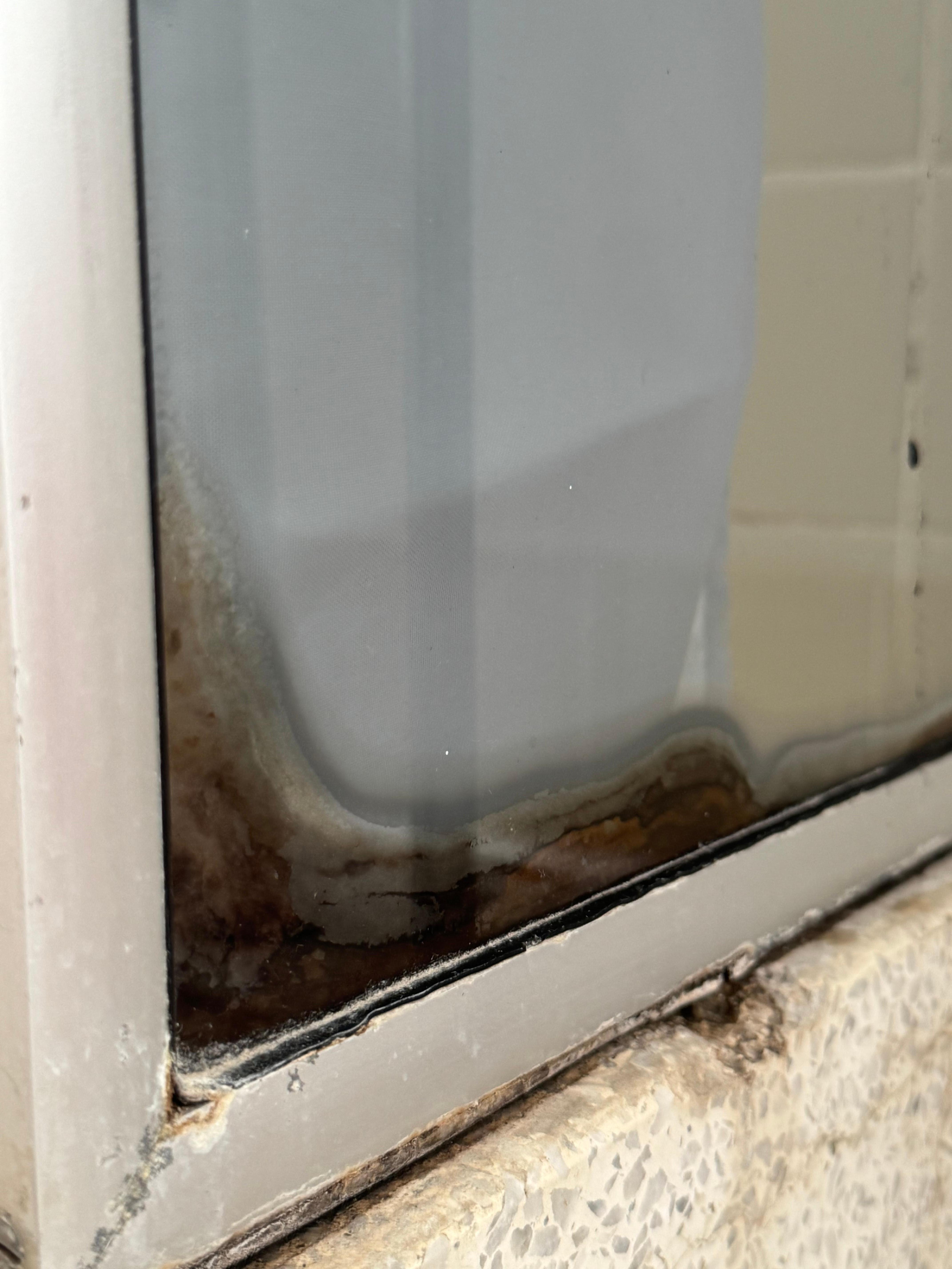 Mould on the shower screen/tiles. 