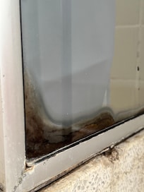 Mould on the shower screen/tiles.