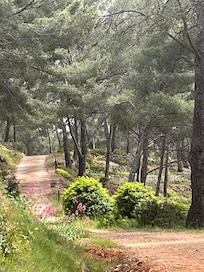 Même l’arrière du jardin et beau à visiter