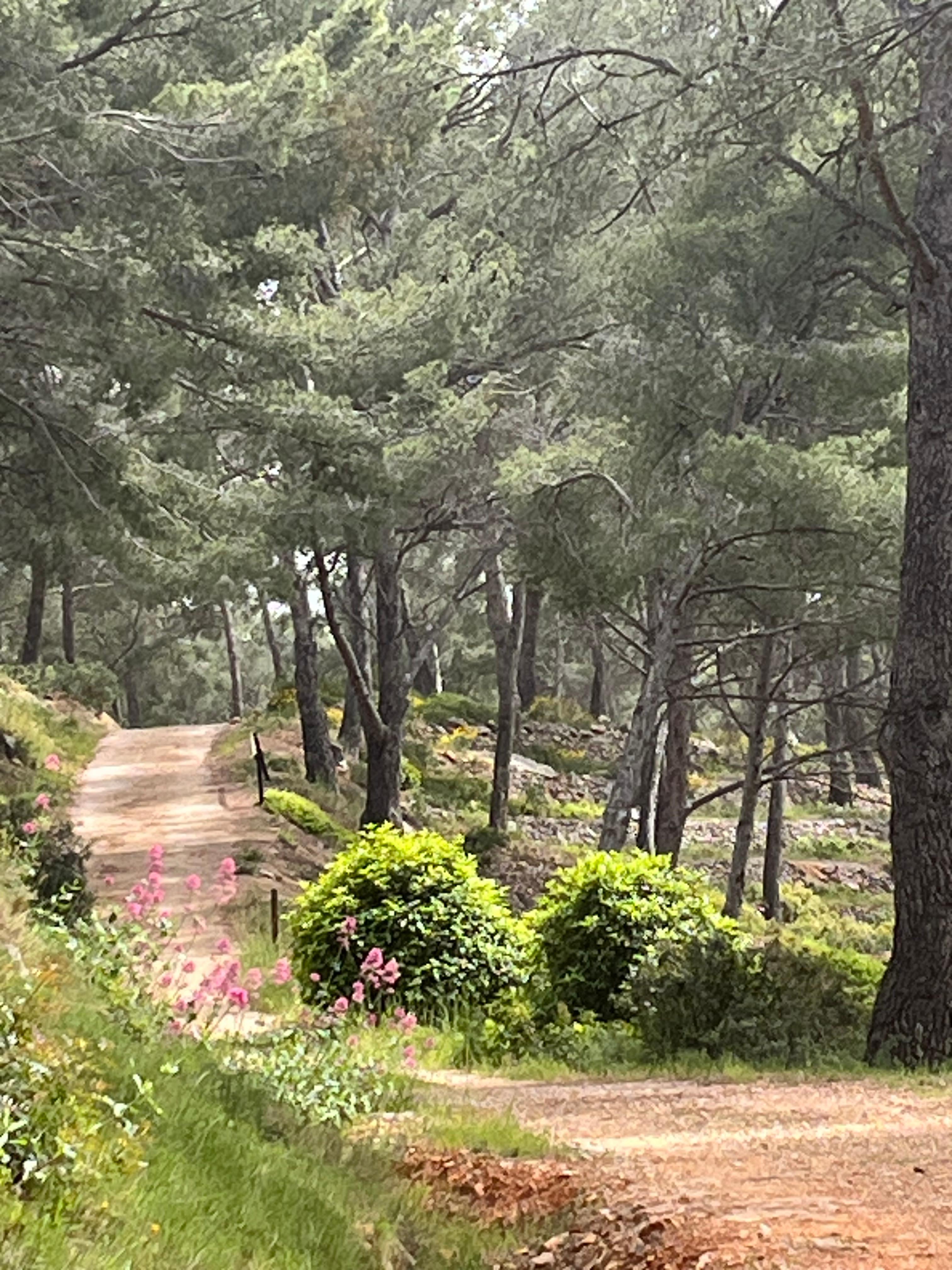 Même l’arrière du jardin et beau à visiter 