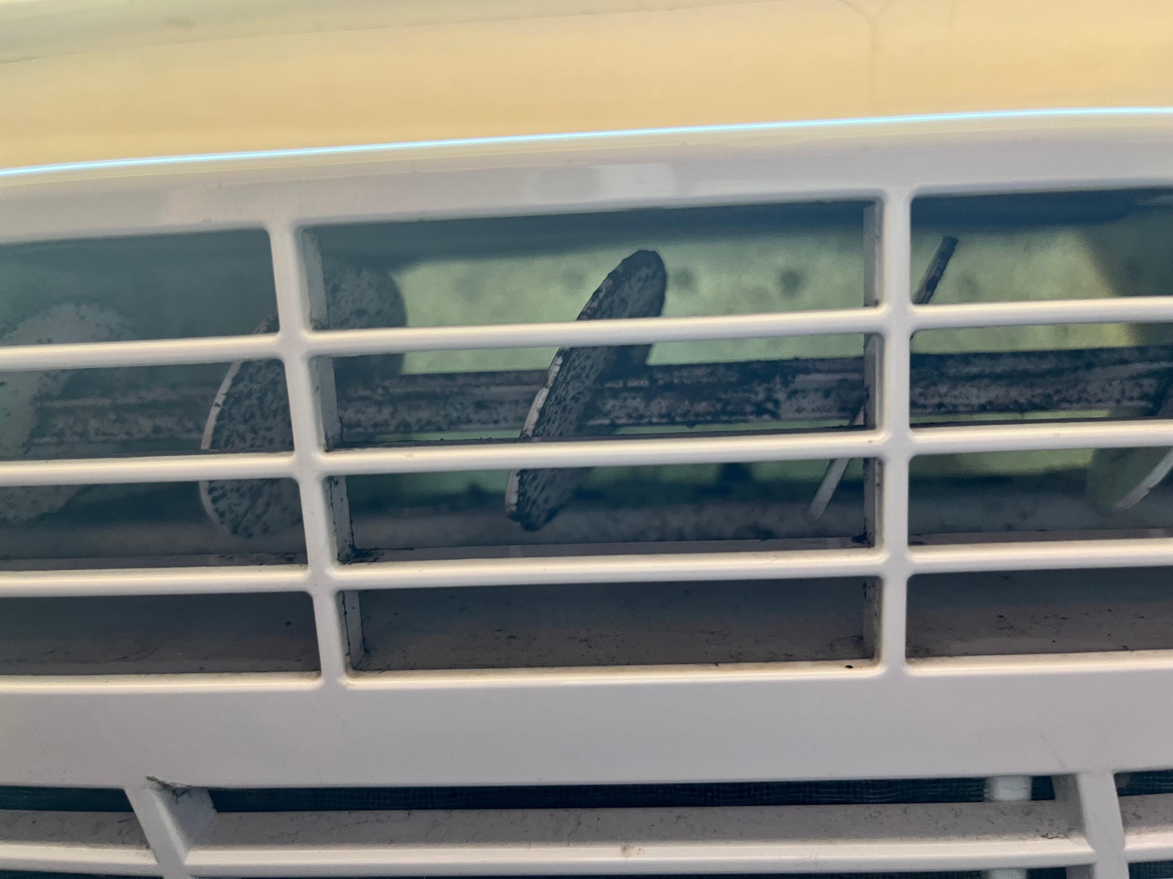 Mold/mildew in AC unit