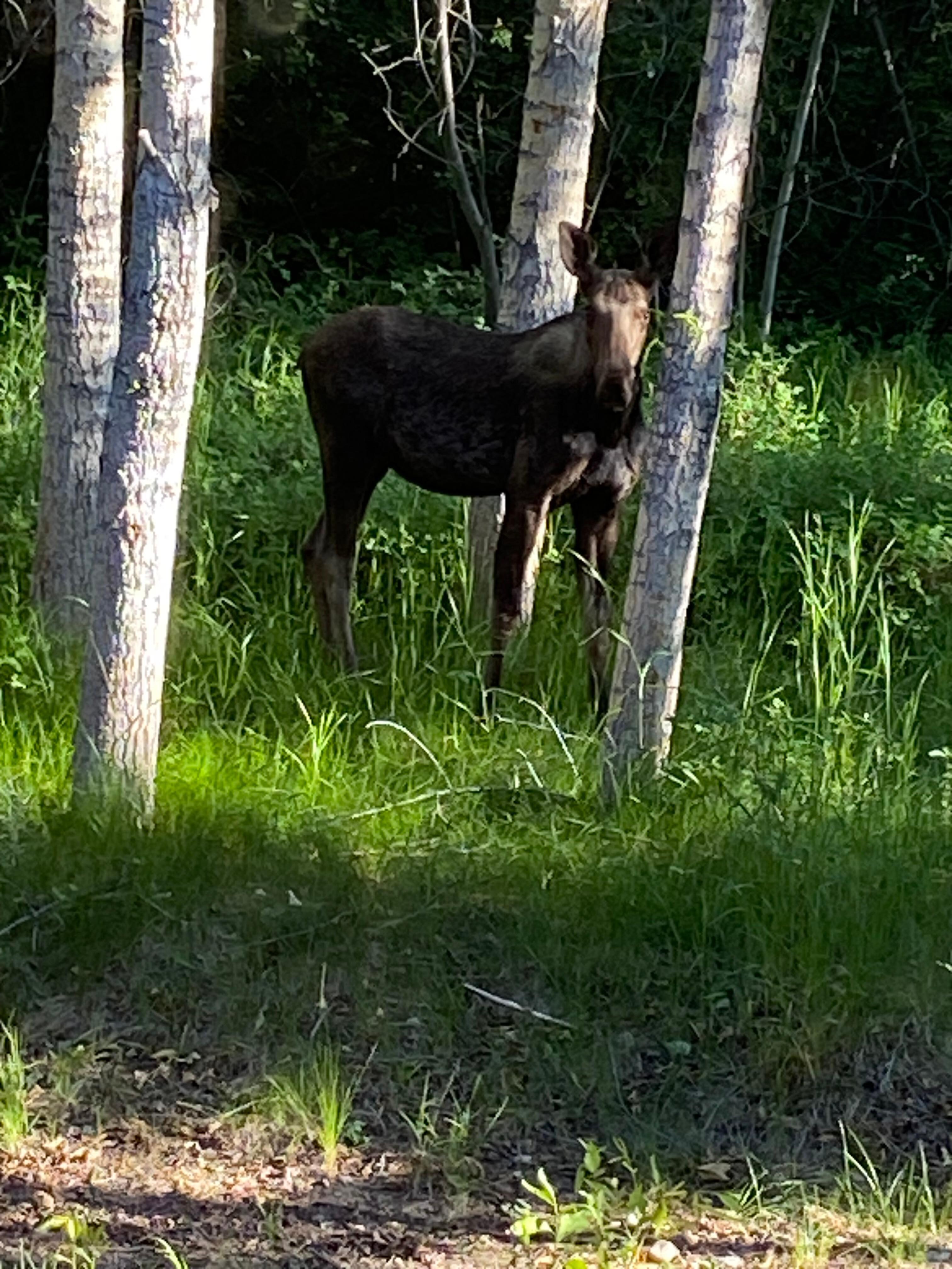 Off the back porch!