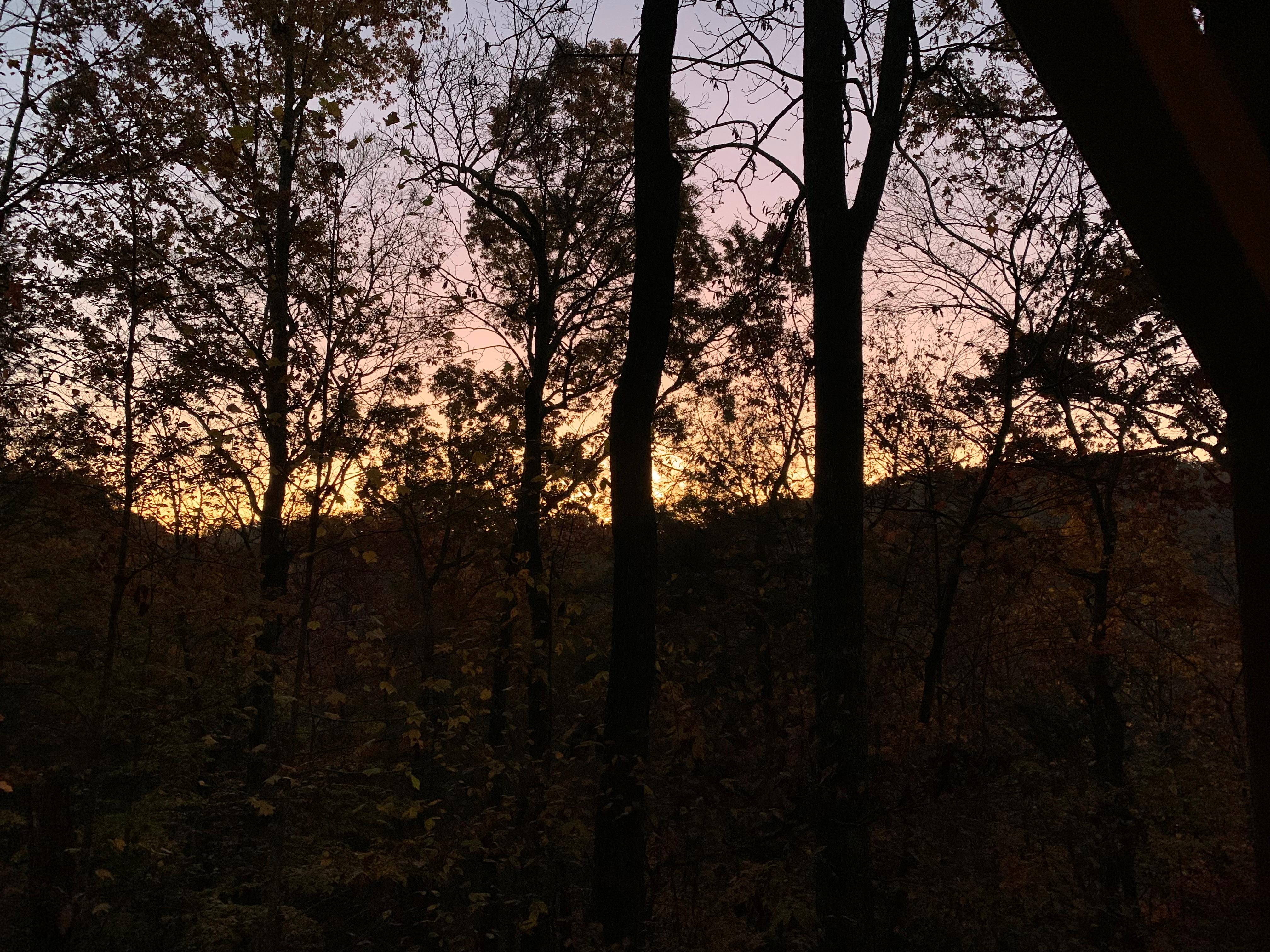 Sunrise from the deck.