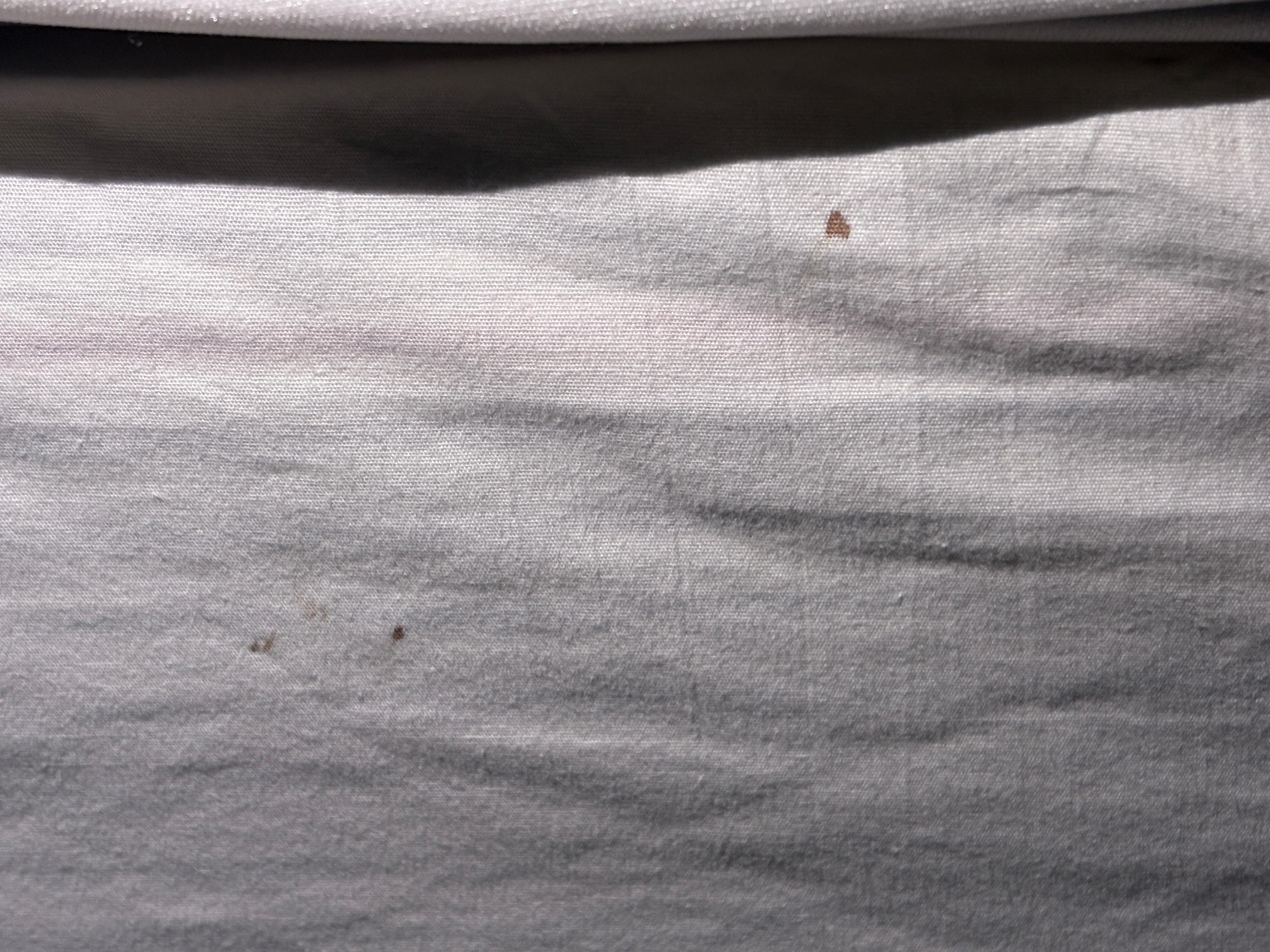 Blood stains on bedfing