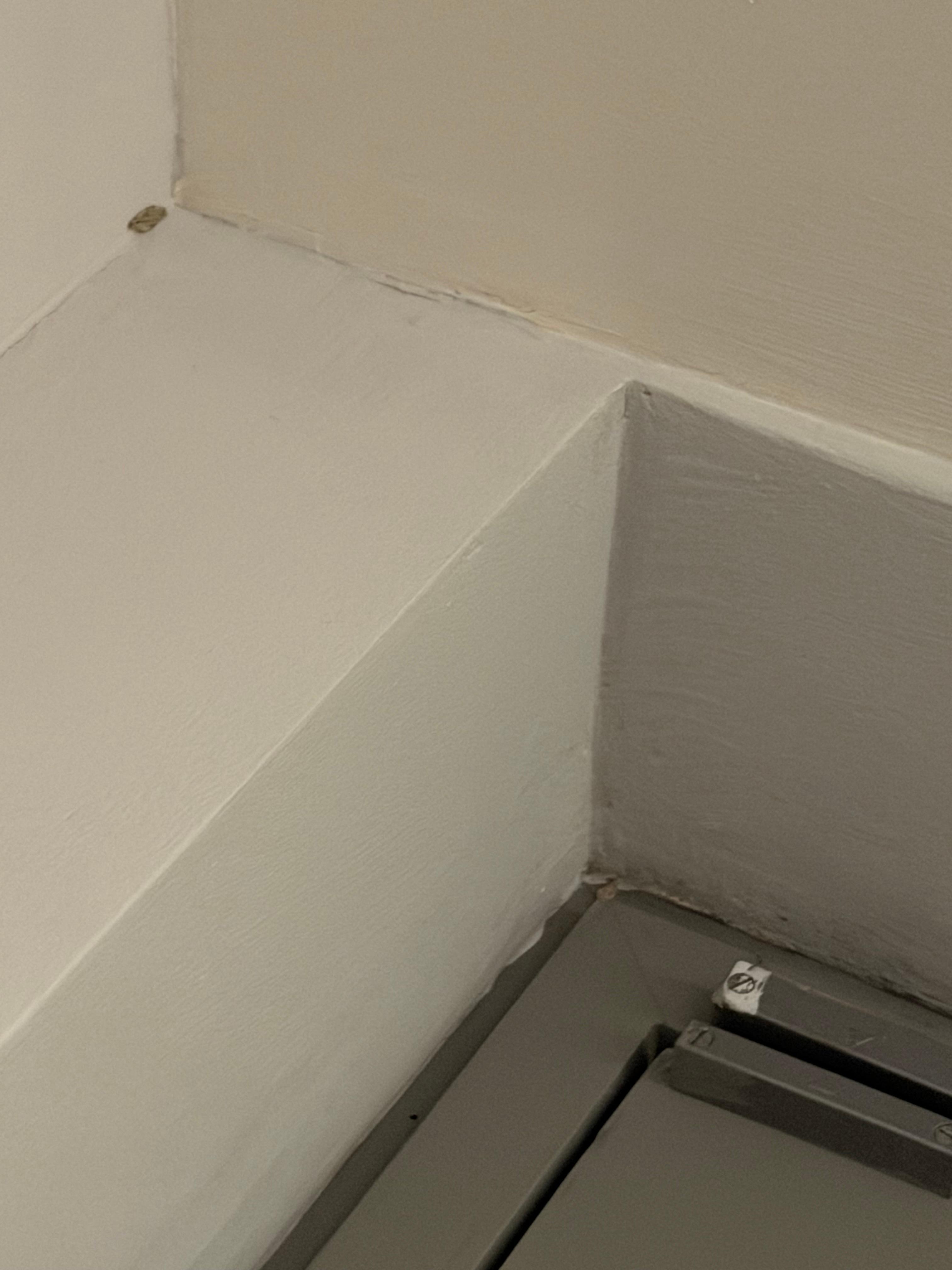 Mottenlarven, grobe Hygienemängel