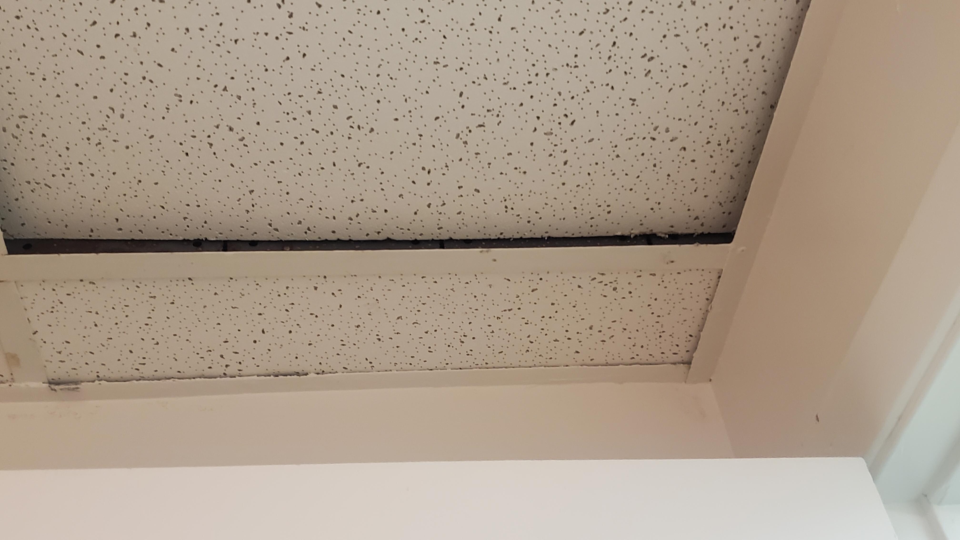 Ceiling probably where roaches gets in. Found 3 roaches. 